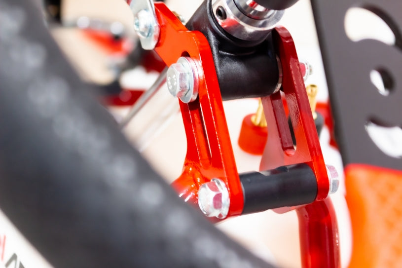 2024 Birel AM29-S16 go KART