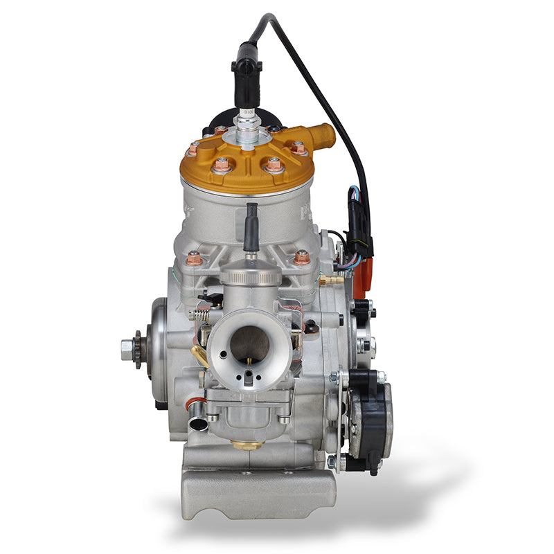 Vortex ROK GP