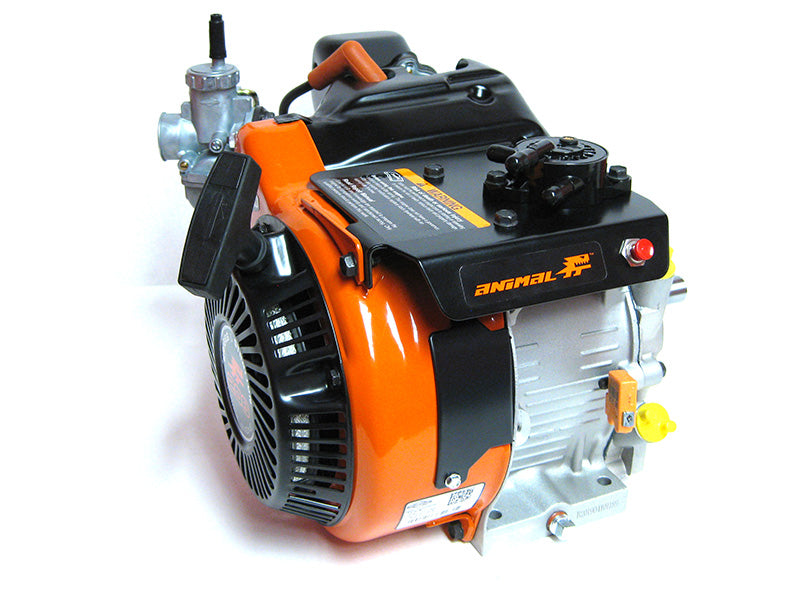 Briggs & Stratton LO206