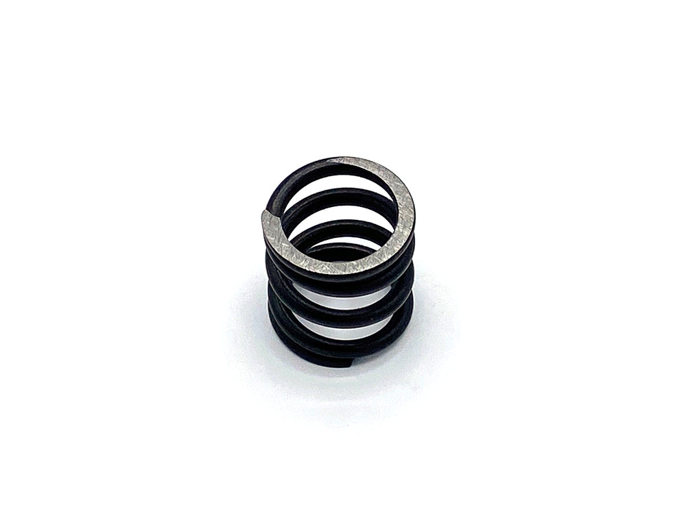 LO206 Intake/ Exhaust Valve Spring | PKT